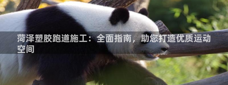尊龙凯时注册地址：菏泽塑胶跑道施工：全面指南，助您打