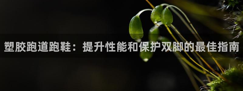 尊龙新版app首页：塑胶跑道跑鞋：提升性能和保护双脚