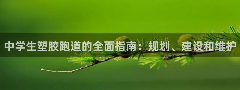 尊龙人生就是博D88：中学生塑胶跑道的全面指南：规划、建设和维护