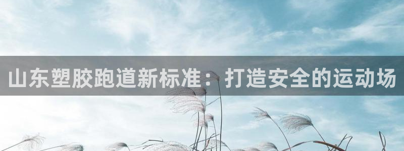 尊龙凯时捕鱼游戏能玩吗：山东塑胶跑道新标准：打造安全的运动场