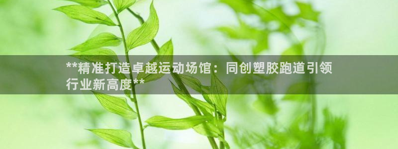 尊龙凯时为什么输了钱：**精准打造卓越运动场馆：同创塑胶跑道引领
行业新高度**