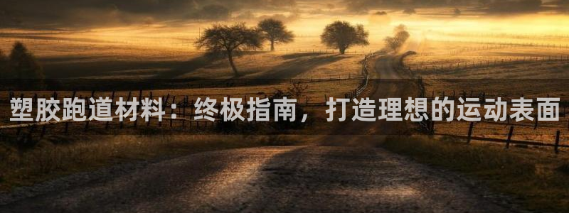 尊龙凯时俱乐部：塑胶跑道材料：终极指南，打造理想的运