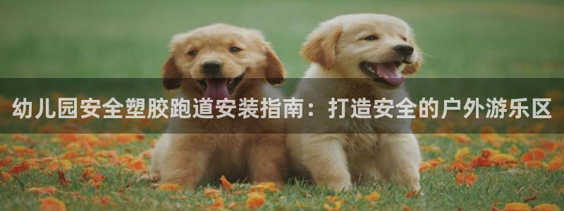 尊龙凯时城游戏官网：幼儿园安全塑胶跑道安装指南：打造
