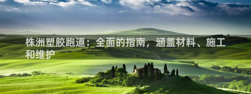 尊龙凯时提现不了：株洲塑胶跑道：全面的指南，涵盖材料