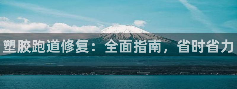 尊龙网址是多少：塑胶跑道修复：全面指南，省时省力