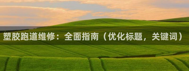 尊龙z6集团：塑胶跑道维修：全面指南（优化标题，关键