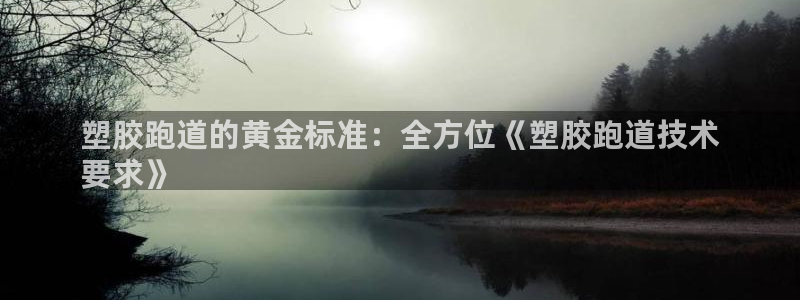 尊龙ktv怎么样：塑胶跑道的黄金标准：全方位《塑胶跑道技术
要求》