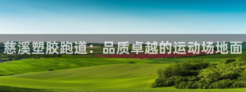 尊龙官网网站：慈溪塑胶跑道：品质卓越的运动场地面