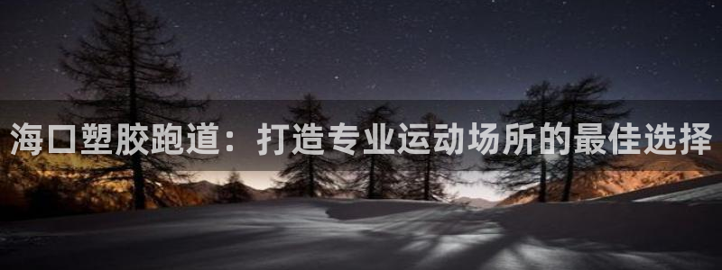 尊龙官网免费下载：海口塑胶跑道：打造专业运动场所的最