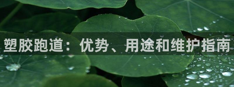 凯时尊龙官网网址：塑胶跑道：优势、用途和维护指南