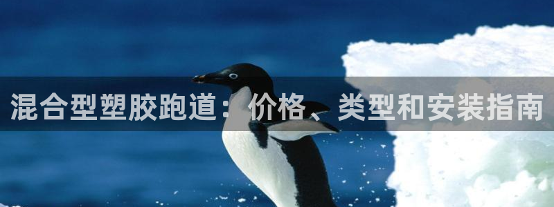尊龙凯时取款24小时不到账：混合型塑胶跑道：价格、类