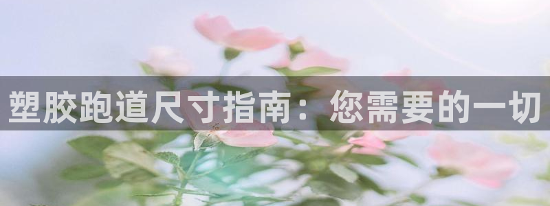 尊龙凯时怎么注销账号：塑胶跑道尺寸指南：您需要的一切