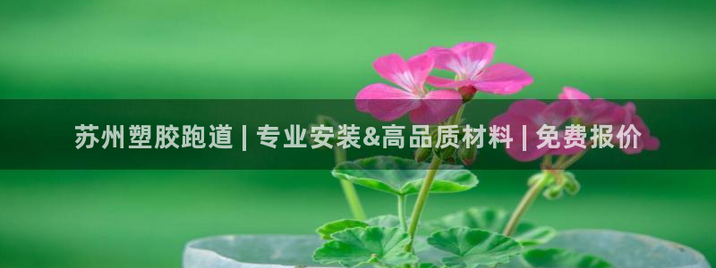 尊龙凯时始人生就是博：苏州塑胶跑道 | 专业安装&高