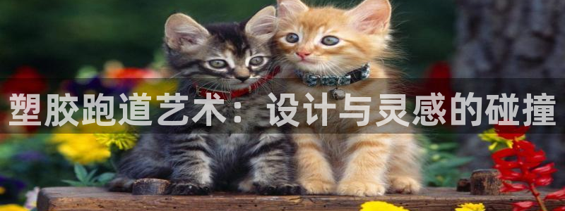 尊龙凯时ag旗舰厅官网客服