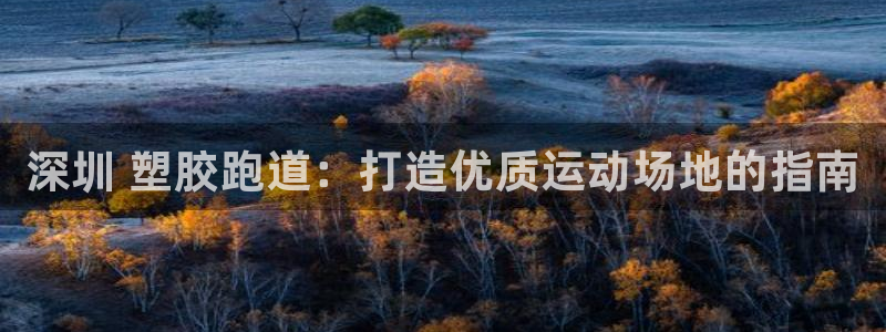 新版尊龙99：深圳 塑胶跑道：打造优质运动场地的指南