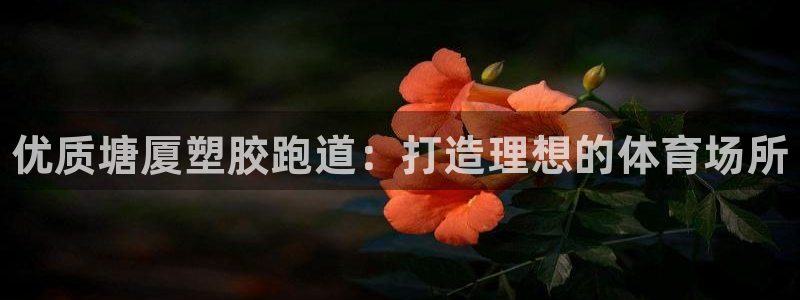 尊龙凯时麻将胡了：优质塘厦塑胶跑道：打造理想的体育场所