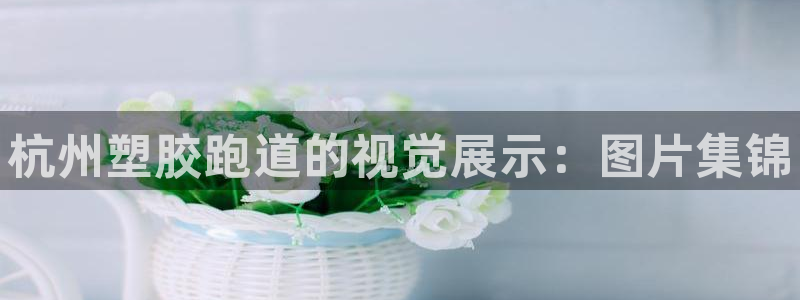 凯时国际最新：杭州塑胶跑道的视觉展示：图片集锦