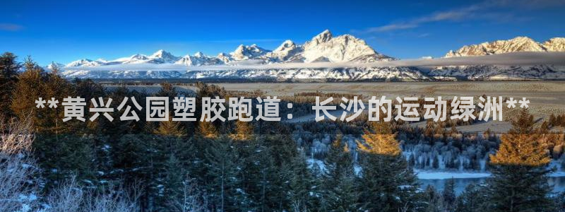 尊龙官网网站：**黄兴公园塑胶跑道：长沙的运动绿洲**