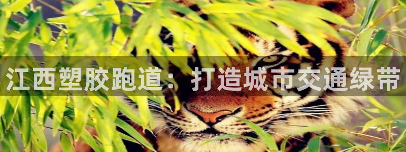 尊龙凯时官网正规吗