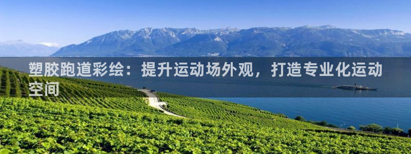 凯时k66官网登录：塑胶跑道彩绘：提升运动场外观，打造专业化