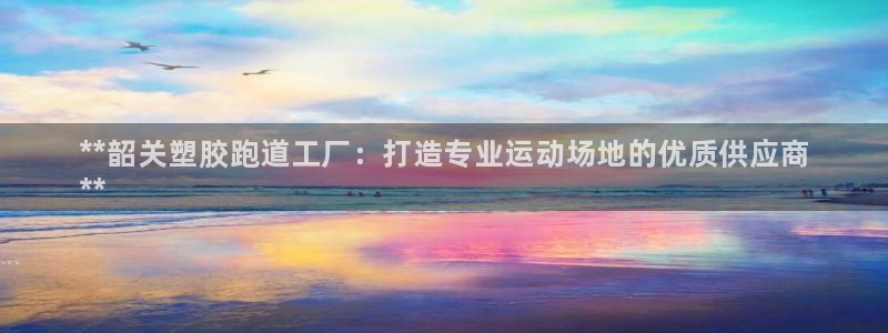 尊龙ag旗舰厅官网登录：**韶关塑胶跑道工厂：打造专业运动场地的优质供应商
**