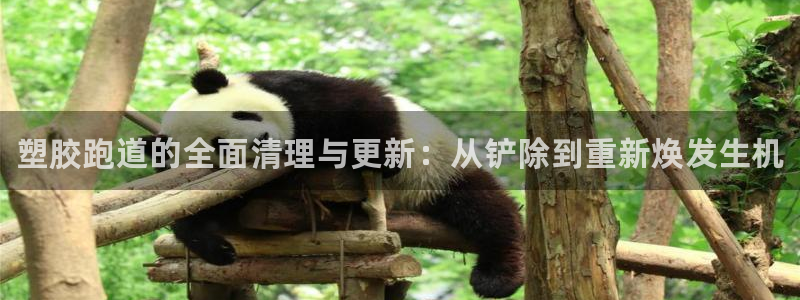 尊龙人生就是博d88 - Z6尊龙官方网站