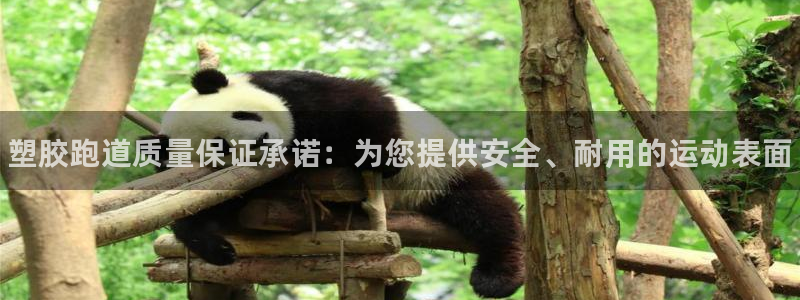 尊龙凯时网站首页手机登录：塑胶跑道质量保证承诺：为您