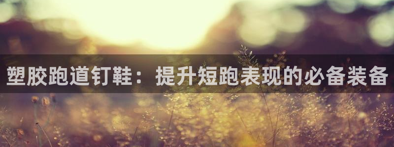 尊龙d88现金 旧版本可靠送38元：塑胶跑道钉鞋：提