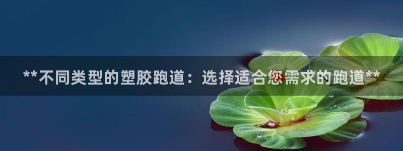 尊龙人生就是博官网登录手机：**不同类型的塑胶跑道：