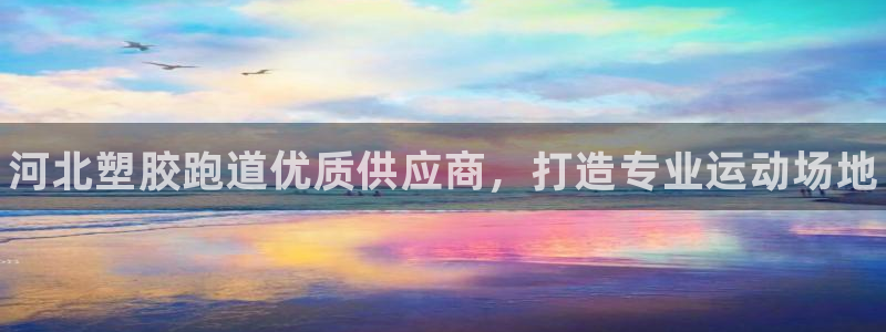 尊龙官方平台是正品吗：河北塑胶跑道优质供应商，打造专