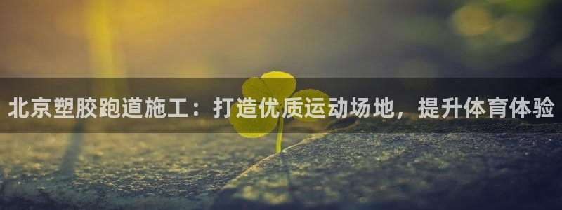 尊龙AG旗舰厅官网：北京塑胶跑道施工：打造优质运动场