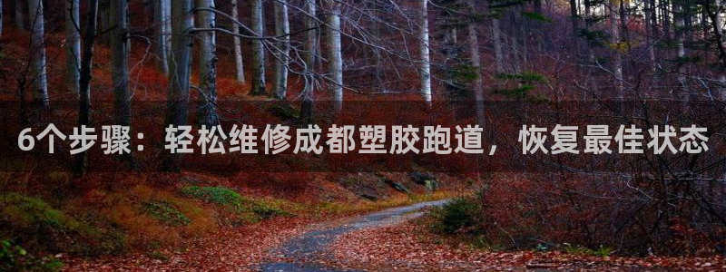 尊龙凯时为什么不封：6个步骤：轻松维修成都塑胶跑道，