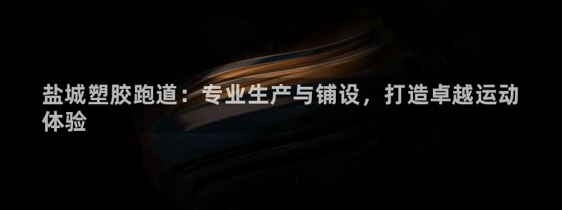ZL尊龙凯时集团：盐城塑胶跑道：专业生产与铺设，打造