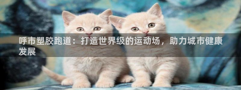 尊龙凯时提不了款：呼市塑胶跑道：打造世界级的运动场，