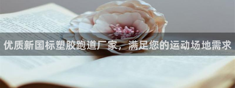 d88尊龙官网登录免费下载：优质新国标塑胶跑道厂家，