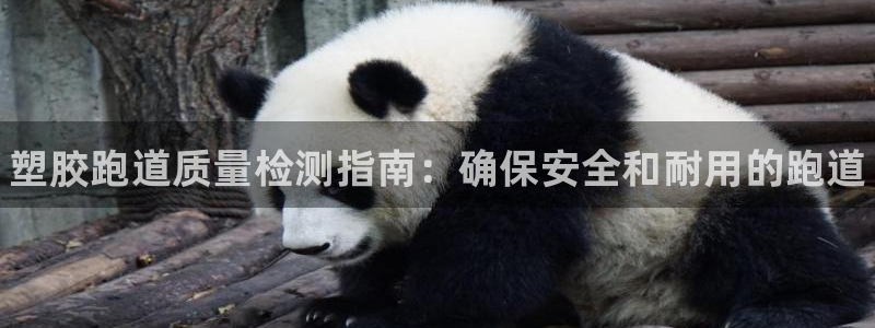 怎样能成为尊龙凯时平台的会员：塑胶跑道质量检测指南：确保安全和耐用的跑道