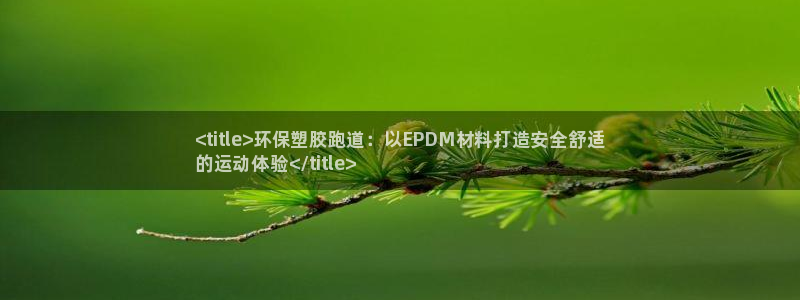 尊龙多少岁：<title>环保塑胶跑道：以EPDM材