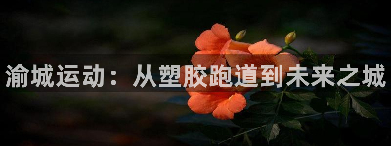 凯时ag旗舰厅网址是什么