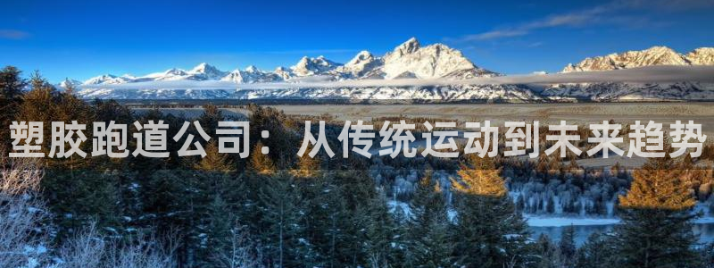 尊龙凯时d3563：塑胶跑道公司：从传统运动到未来趋势