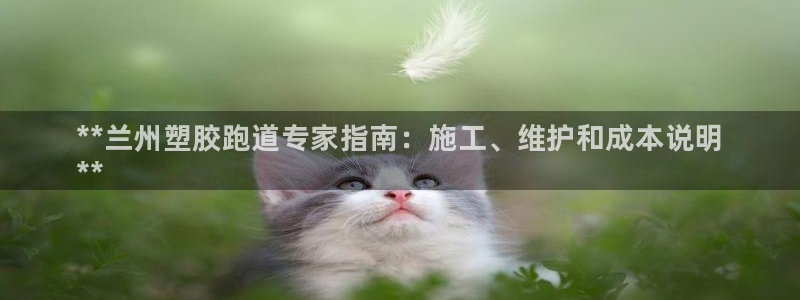 尊龙d88官网登录：**兰州塑胶跑道专家指南：施工、