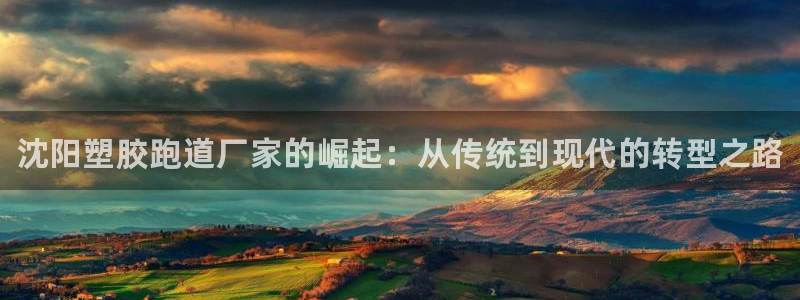 尊龙凯时登陆：沈阳塑胶跑道厂家的崛起：从传统到现代的