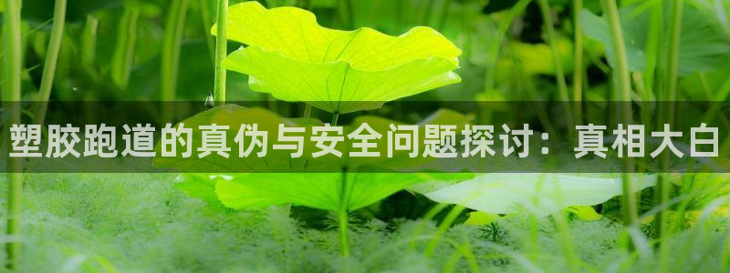 尊龙凯时取款不成功：塑胶跑道的真伪与安全问题探讨：真相大白